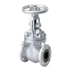 Globe Valve