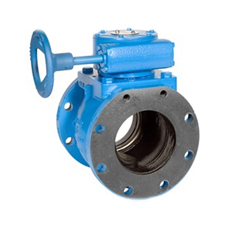 Plug Valve